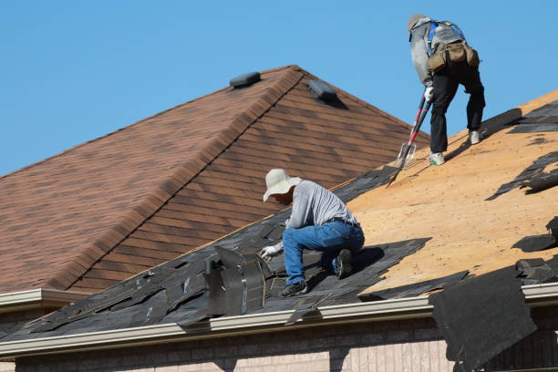 Best Solar Panel Roofing Installation  in Blooming Prairie, MN