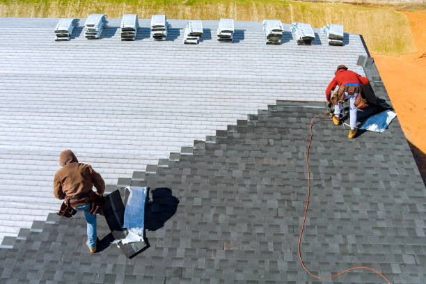 Best Roof Insulation Installation  in Blooming Prairie, MN
